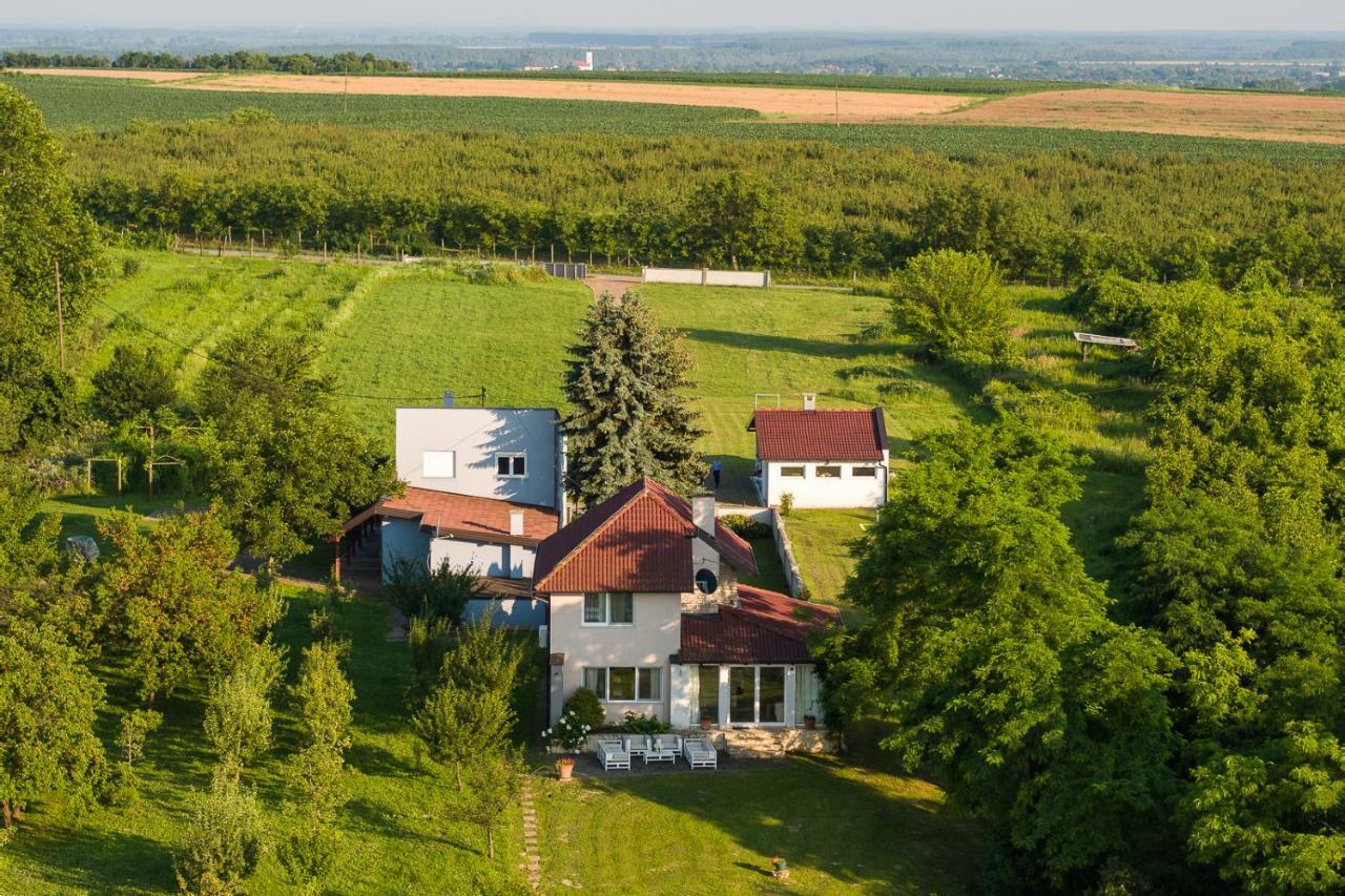 Danubio Residence Aljmaš Extérieur photo
